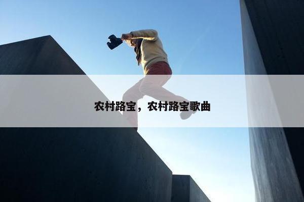 农村路宝，农村路宝歌曲