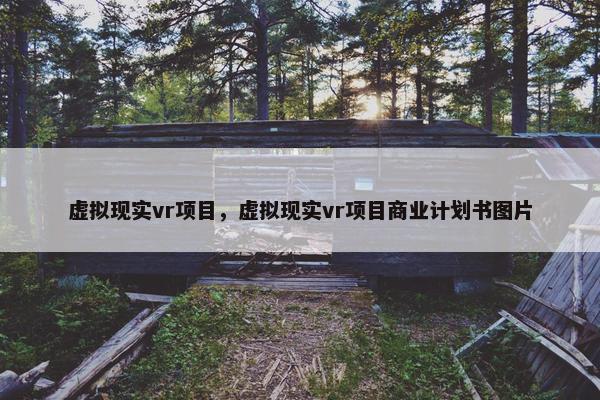 虚拟现实vr项目，虚拟现实vr项目商业计划书图片