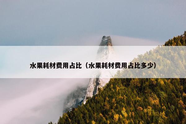 水果耗材费用占比（水果耗材费用占比多少）