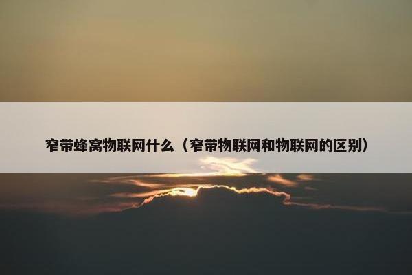 窄带蜂窝物联网什么（窄带物联网和物联网的区别）