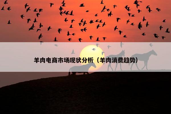 羊肉电商市场现状分析（羊肉消费趋势）