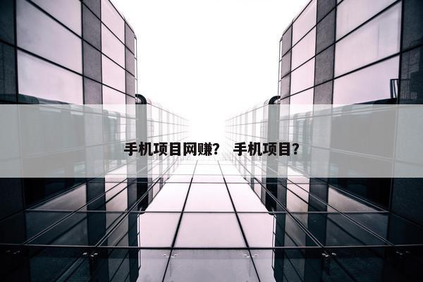 手机项目网赚？ 手机项目？