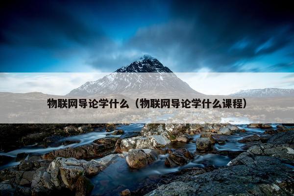 物联网导论学什么（物联网导论学什么课程）