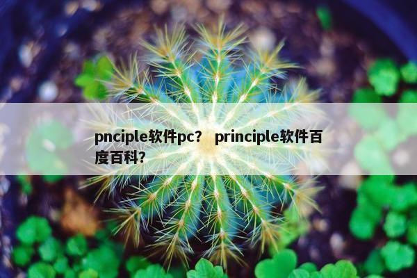 pnciple软件pc？ principle软件百度百科？