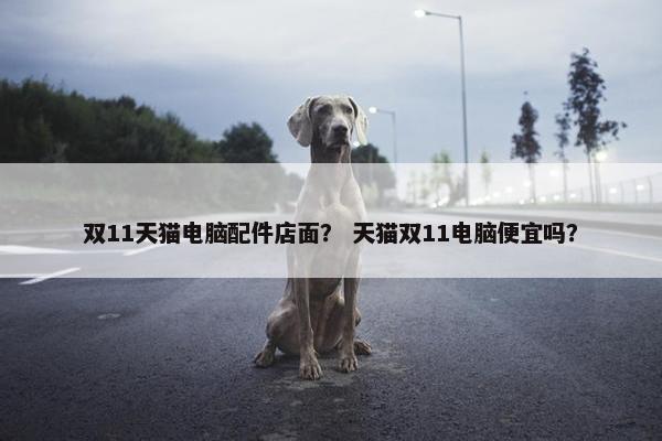 双11天猫电脑配件店面？ 天猫双11电脑便宜吗？