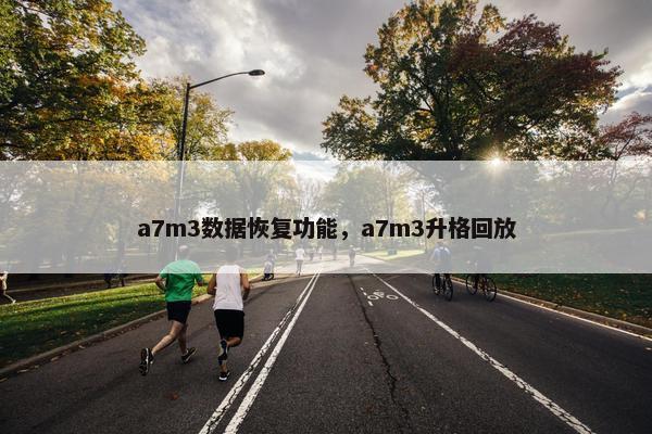 a7m3数据恢复功能，a7m3升格回放