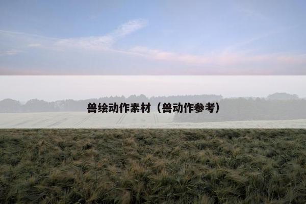 兽绘动作素材（兽动作参考）