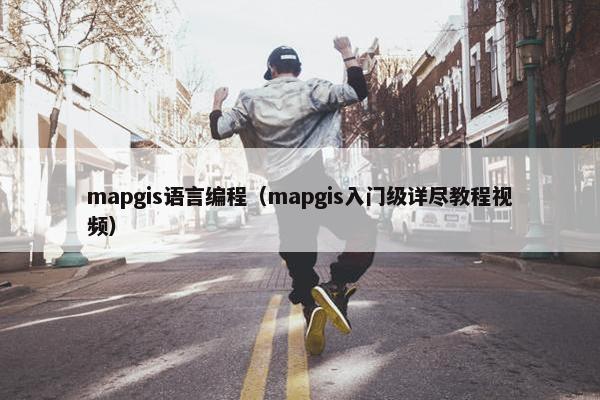 mapgis语言编程（mapgis入门级详尽教程视频）