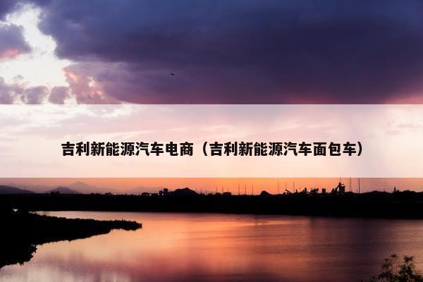 吉利新能源汽车电商（吉利新能源汽车面包车）