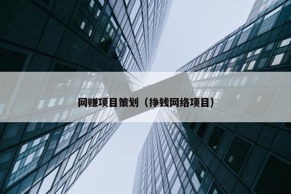 网赚项目策划（挣钱网络项目）