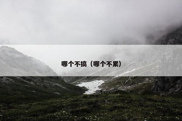 哪个不搞（哪个不累）