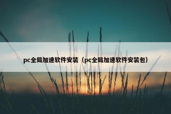 pc全局加速软件安装（pc全局加速软件安装包）