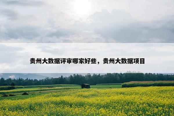 贵州大数据评审哪家好些，贵州大数据项目