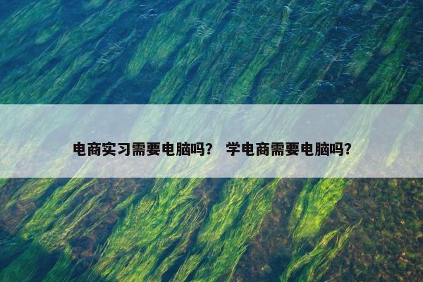 电商实习需要电脑吗？ 学电商需要电脑吗？
