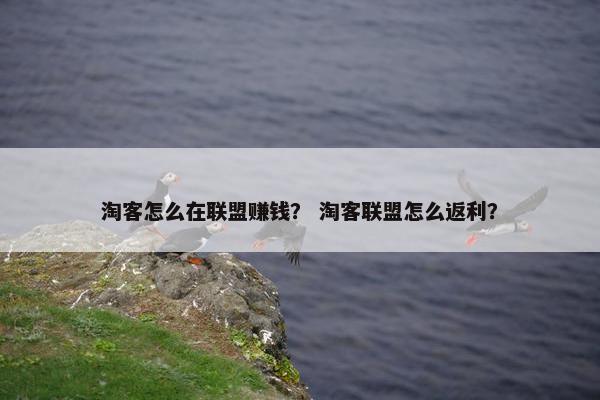 淘客怎么在联盟赚钱？ 淘客联盟怎么返利？