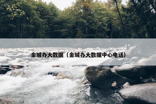 金城办大数据（金城办大数据中心电话）