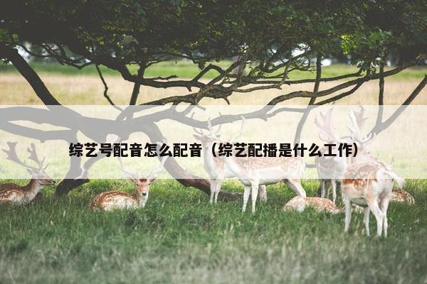 综艺号配音怎么配音（综艺配播是什么工作）