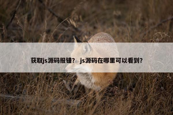 获取js源码报错？ js源码在哪里可以看到？