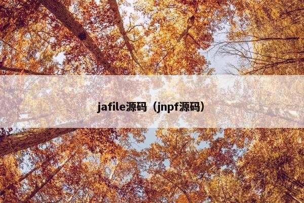 jafile源码（jnpf源码）