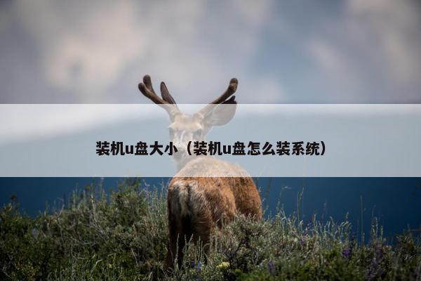 装机u盘大小（装机u盘怎么装系统）