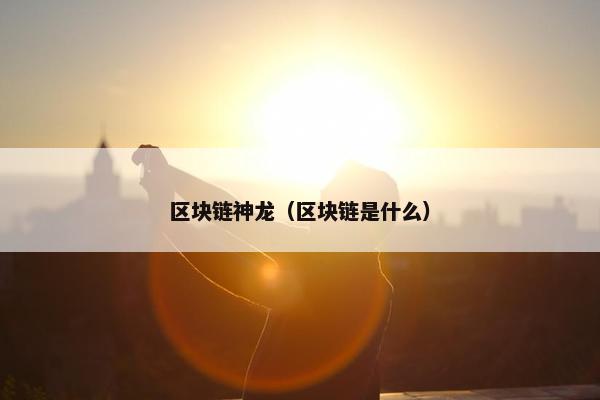 区块链神龙（区块链是什么）