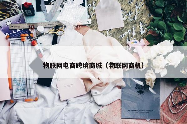 物联网电商跨境商城（物联网商机）