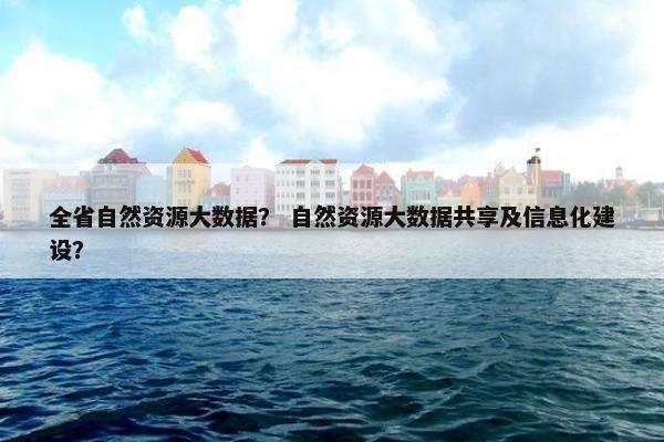 全省自然资源大数据？ 自然资源大数据共享及信息化建设？