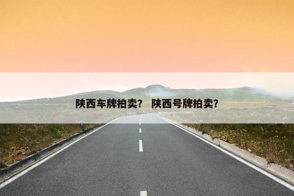 陕西车牌拍卖？ 陕西号牌拍卖？