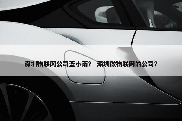 深圳物联网公司蓝小雨？ 深圳做物联网的公司？