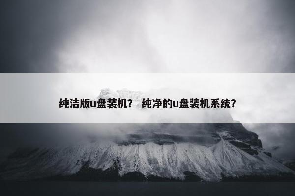 纯洁版u盘装机？ 纯净的u盘装机系统？