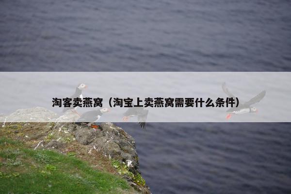 淘客卖燕窝（淘宝上卖燕窝需要什么条件）