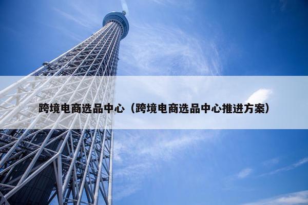 跨境电商选品中心（跨境电商选品中心推进方案）