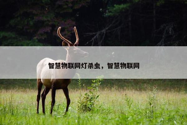 智慧物联网灯杀虫，智慧物联网