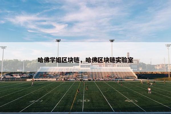 哈佛学姐区块链，哈佛区块链实验室