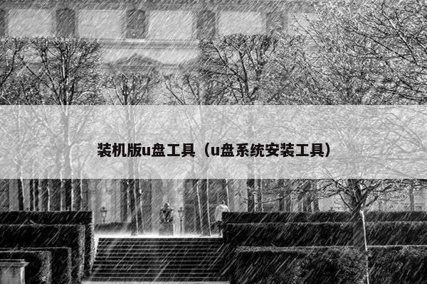 装机版u盘工具（u盘系统安装工具）