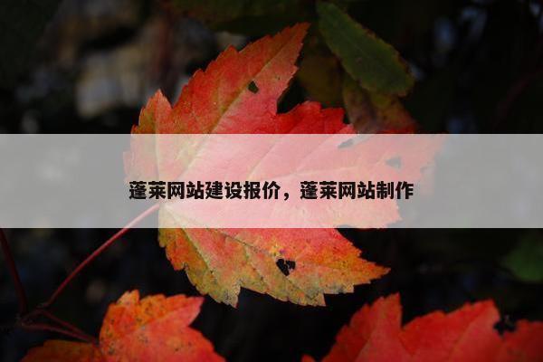 蓬莱网站建设报价，蓬莱网站制作