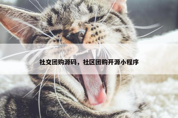 社交团购源码，社区团购开源小程序