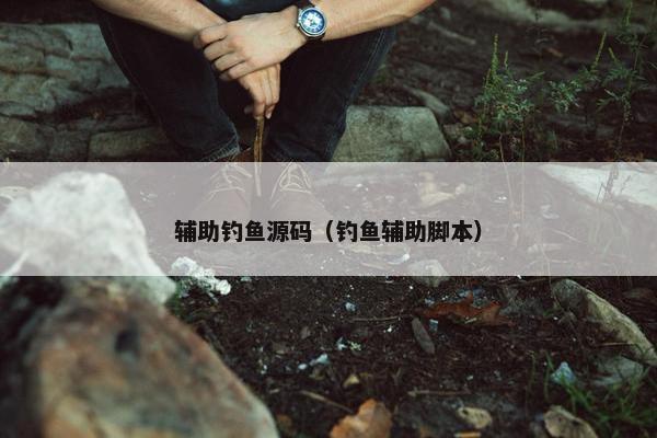 辅助钓鱼源码（钓鱼辅助脚本）
