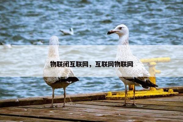 物联闭互联网，互联网物联网