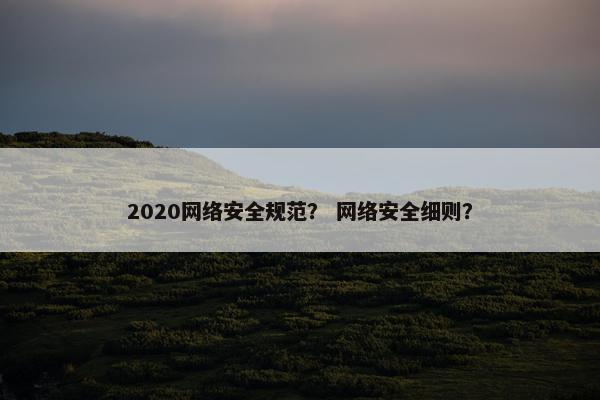 2020网络安全规范？ 网络安全细则？