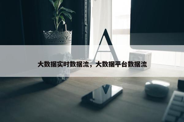 大数据实时数据流，大数据平台数据流