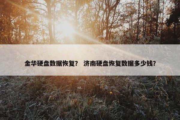 金华硬盘数据恢复？ 济南硬盘恢复数据多少钱？