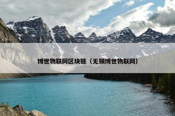 博世物联网区块链（无锡博世物联网）