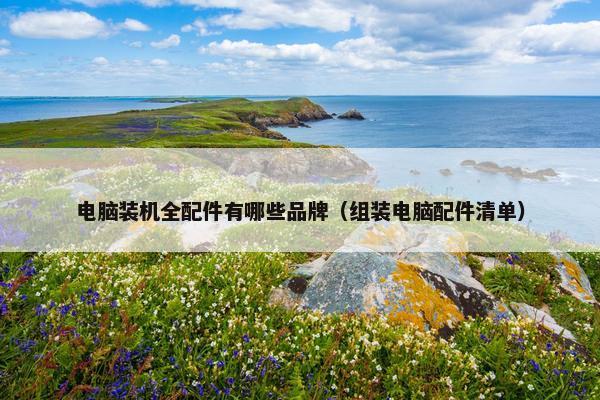 电脑装机全配件有哪些品牌（组装电脑配件清单）
