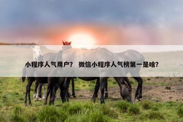 小程序人气用户？ 微信小程序人气榜第一是啥？