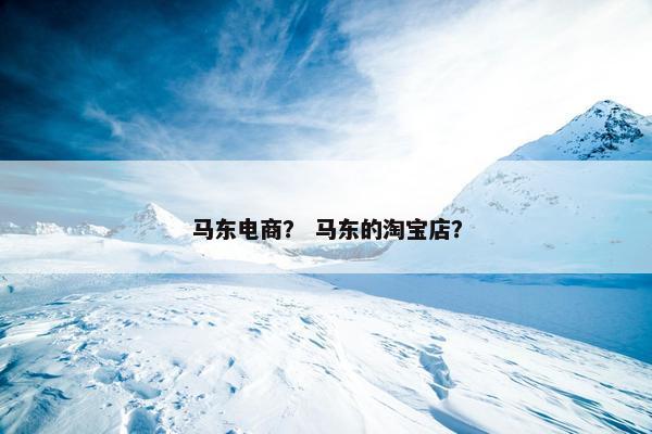 马东电商？ 马东的淘宝店？