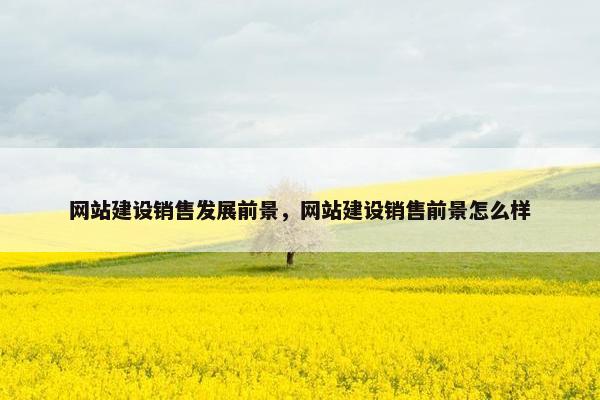 网站建设销售发展前景，网站建设销售前景怎么样