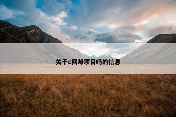 关于c网赚项目吗的信息