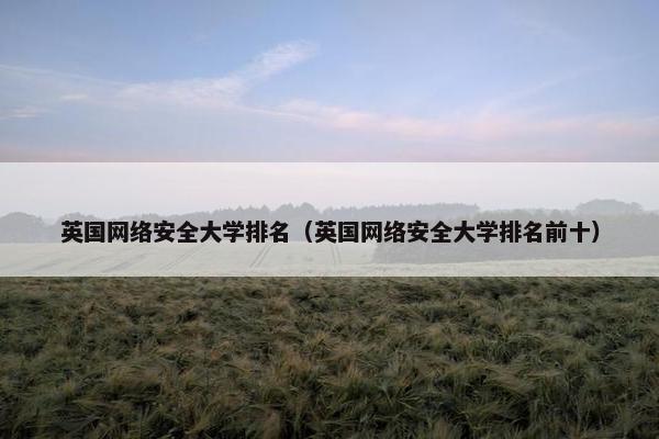 英国网络安全大学排名（英国网络安全大学排名前十）