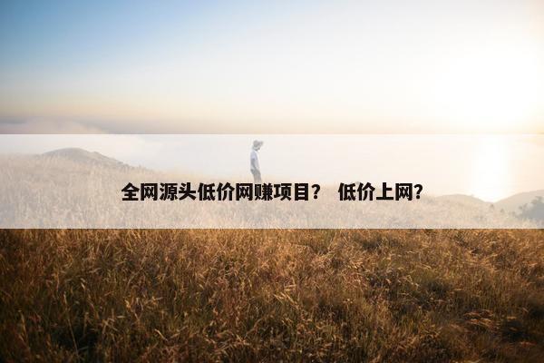 全网源头低价网赚项目？ 低价上网？